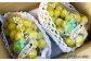 【訳あり】 鮮度抜群 ご褒美シャインマスカット 計2.4kg（1.2kg以上×2房）