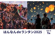 はんなん de ランタンチケット イベント チケット 和ランタン 音楽祭 夏フェス