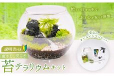 癒やしと安らぎ 苔テラリウムキット ガラスボール容器 コケ5種類 石 苔テラリウム用SOIL 飾り砂 ピンセット 霧吹き スプーン 作り方＆育て方説明書 制作キット 