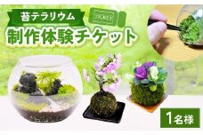 苔テラリウムの制作体験チケット 1名様 苔玉 ワークショップ 苔 コケ 植物 