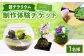 苔テラリウムの制作体験チケット 1名様