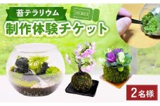 苔テラリウムの制作体験チケット ペアチケット 苔玉 ワークショップ 苔 コケ 植物 