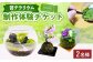 苔テラリウムの制作体験チケット ペアチケット