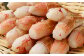 生ずわい蟹 カニ爪肉 約500g