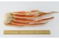 ボイル ずわい蟹 4L サイズ 3kg (7 ～ 9肩) 【11】 かに カニ ずわい蟹 足 脚 ボイル