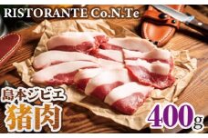 No.038 島本ジビエ「猪肉」約400g ／ 狩猟肉 イノシシ肉 スライス 大阪府 特産品