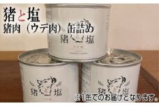 No.130 猪と塩　猪肉（ウデ肉）缶詰め ／ 島本ジビエ イノシシ おにく 大阪府