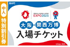 No.157 2025年日本国際博覧会入場チケット 特別割引券（中人）【島本町返礼品】 ／ 万博 EXPO 2025 大阪万博 関西万博 夢洲 入場券 大阪府