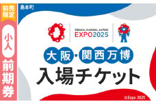 No.154 【前売限定】2025年日本国際博覧会入場チケット 前期券（小人）【島本町返礼品】 ／ 万博 EXPO 2025 大阪万博 関西万博 夢洲 入場券 大阪府