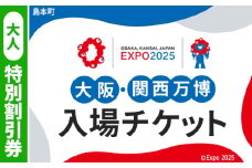 No.161 2025年日本国際博覧会入場チケット 特別割引券（大人）【島本町返礼品】 ／ 万博 EXPO 2025 大阪万博 関西万博 夢洲 入場券 大阪府