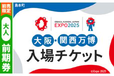 No.162 【前売限定】2025年日本国際博覧会入場チケット 前期券（大人）【島本町返礼品】 ／ 万博 EXPO 2025 大阪万博 関西万博 夢洲 入場券 大阪府