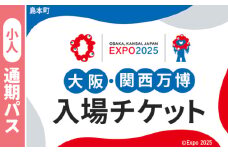 No.164 2025年日本国際博覧会入場チケット 通期パス（小人）【島本町返礼品】 ／ 万博 EXPO 2025 大阪万博 関西万博 夢洲 入場券 大阪府