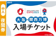 No.156 2025年日本国際博覧会入場チケット 夜間券（中人）【島本町返礼品】 ／ 万博 EXPO 2025 大阪万博 関西万博 夢洲 入場券 大阪府