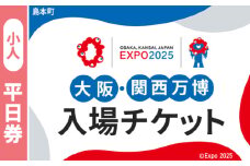 No.155 2025年日本国際博覧会入場チケット 平日券（小人）【島本町返礼品】 ／ 万博 EXPO 2025 大阪万博 関西万博 夢洲 入場券 大阪府