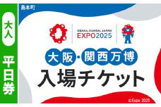 No.163 2025年日本国際博覧会入場チケット 平日券（大人）【島本町返礼品】 ／ 万博 EXPO 2025 大阪万博 関西万博 夢洲 入場券 大阪府