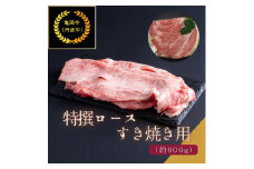 京都肉(亀岡牛・丹波牛)特選ロースすき焼き用約600g【1097656】