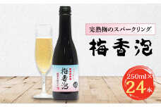 <完熟梅のスパークリング>　梅香泡(うめかほう)　24本入_紀州完熟梅 ブランデー 天然水 梅酒 酒 アルコール 人気 おすすめ 送料無料 贈答 ギフト スパークリング【1033663】