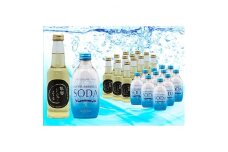 ノセミネラルソーダ300ml&能勢ジンジャーエール250ml(各12本入)【1033664】