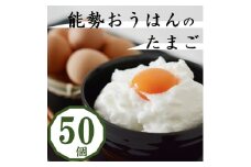 卵がけごはんにおすすめ!健康第一で育てられた希少なブランド鶏の地玉子50個【1033861】