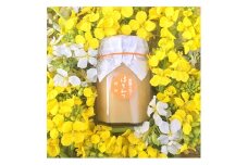 ＜大阪能勢特産＞ 能勢の花々のはちみつ 4個セット【1107604】
