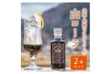 山コーラ　2本セット　～YAMA COLA 大阪能勢のクラフトコーラシロップ～【1288037】