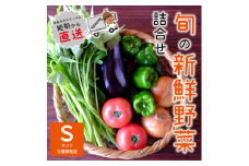 『大阪能勢産』　農家直送!べじたぶるぱーくの旬の新鮮野菜詰合せ　Sセット(5種類)　【1509066】