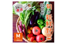 『大阪能勢産』　農家直送!べじたぶるぱーくの旬の新鮮野菜詰合せ　Mセット(7～8種類)　【1509078】