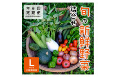 ＜発送月固定定期便＞『大阪能勢産』べじたぶるぱーくの新鮮野菜詰合せLセット(10種類)　奇数月全6回【4062844】