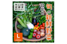 ＜発送月固定定期便＞『大阪能勢産』べじたぶるぱーくの新鮮野菜詰合せLセット(10種類)　上旬全12回【4062848】