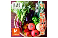 ＜発送月固定定期便＞『大阪能勢産』べじたぶるぱーくの新鮮野菜詰合せMセット(7～8種類)上旬全12回【4062849】