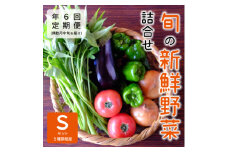 ＜発送月固定定期便＞『大阪能勢産』べじたぶるぱーくの新鮮野菜詰合せ　Sセット(5種類)　偶数月全6回【4062851】