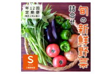 ＜発送月固定定期便＞『大阪能勢産』べじたぶるぱーくの新鮮野菜詰合せ　Sセット(5種類)上旬全12回【4062852】