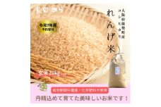 令和7年産コシヒカリ「レンゲ米」玄米10kg(栽培期間中農薬・化学肥料不使用)【1637875】