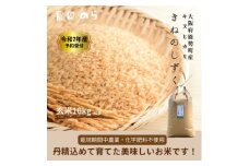 令和7年産きぬひかり「きねのしずく」10kg(玄米)栽培期間中農薬・化学肥料不使用【1637837】
