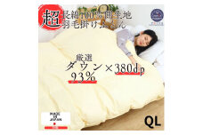 ＜超長綿60番手100%サテン織＞羽毛掛けふとんクイーンダウン93%Dp380抗菌防臭防ダニ【1144983】