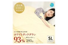 ＜超長綿100%60番手生地＞シングルダウン93%Dp380抗菌防臭防ダニ羽毛掛けふとんあったかい【1144985】