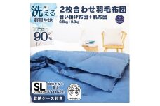 ＜洗える羽毛布団＞羽毛本掛け布団シングル 2枚合わせ洗濯可国産 抗菌防臭防ダニ ネイビー【1310543】