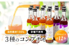 砂糖を使わず「アガベ」で発酵させた「自然素材100%」の3種のコンブチャ　(280ml×12本)【1312537】