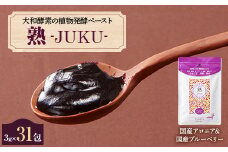 大和酵素の植物発酵ペースト 熟 -JUKU- 国産アロニア&国産ブルーベリー 1袋(3g×31包)【1365032】