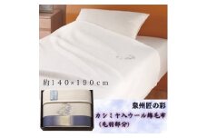 泉州匠の彩　カシミヤ入ウール綿毛布(毛羽部分)【1483509】