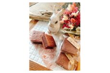濃厚生チョコ咲く咲くココアクッキーサンド8個入り【1564749】