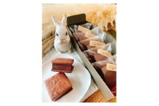 濃厚生チョコ咲く咲くココアクッキーサンド5個入り【1564766】