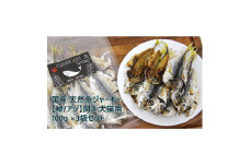 国産 天然魚ジャーキー＜鯵/アジ＞開き 100g×3袋セット 犬猫用【1618381】