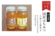 国産ハチミツ1kg　2本セット（013_5003）