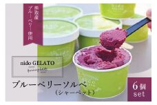 ブルーベリーソルベ「Nido GELATO」(6個)【Humming Fields】（025_5001）