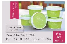 ソルベ＆ジェラート「Nido GELATO」(2種 計6個)【Humming Fields】（025_5003）
