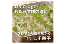 ⑳ぎょーざやさんのしそ餃子18個入り（027_5022）※北海道・沖縄・離島への配送不可