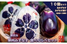 みずなす漬け5個＋生みずなす5個セット（042_5002）