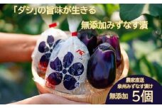水なす漬け5個セット（042_5003）