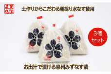 水なす漬け3個セット（042_5005）